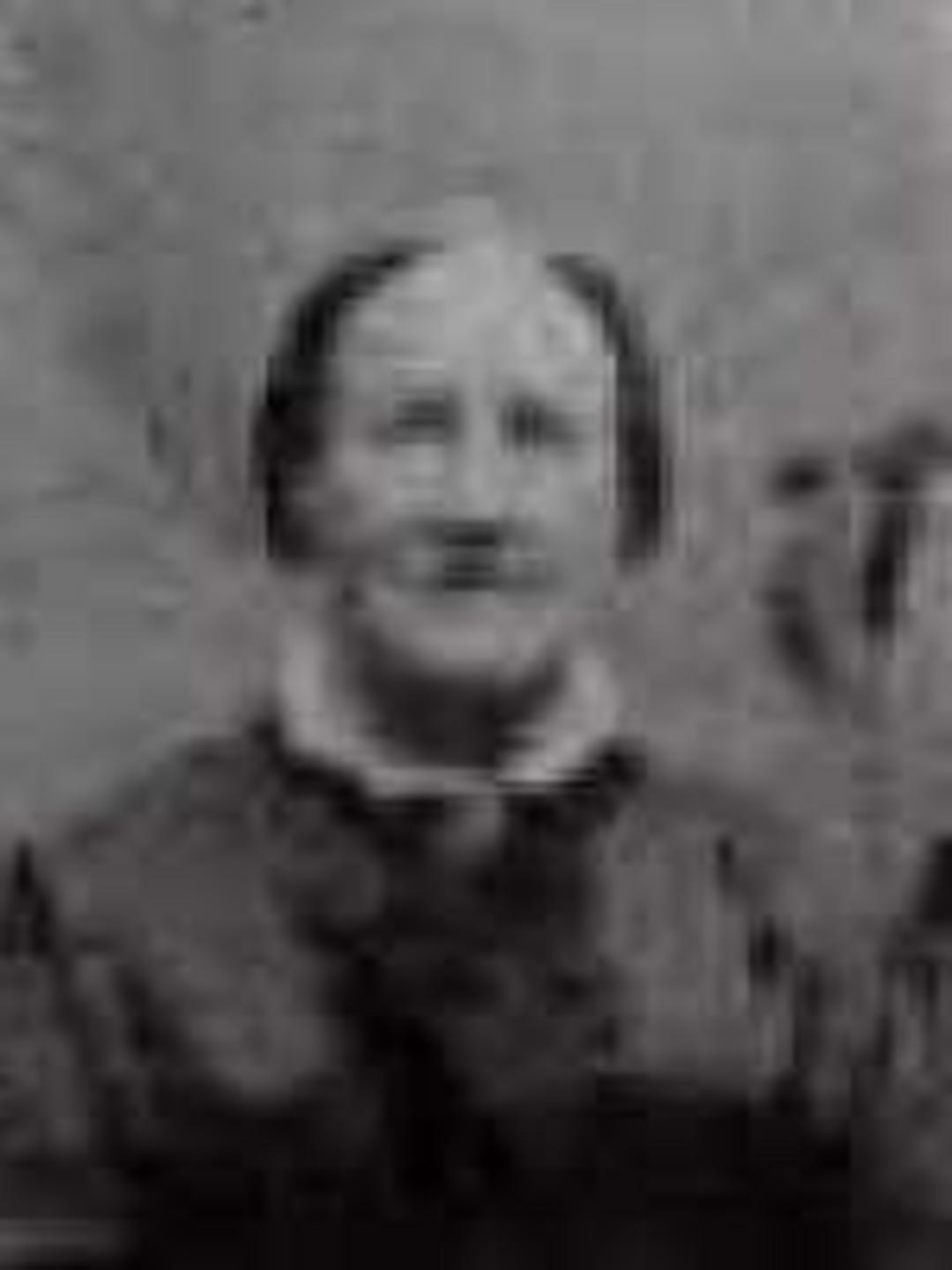 Anna Eliza Coward (1819 - 1900) Profile